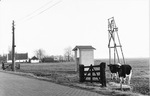 Transformatorstation type 5/8 Kerkdijk te Westbroek 1955
<br/>
Ed. Schulte, 1968